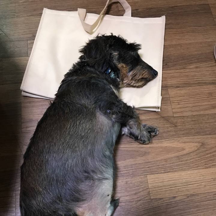 2aa85402 00e3 47d8 96c3 e027e7b1e866