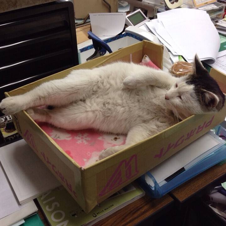 2aa85da4 8393 49a2 8364 2a130af4efb4