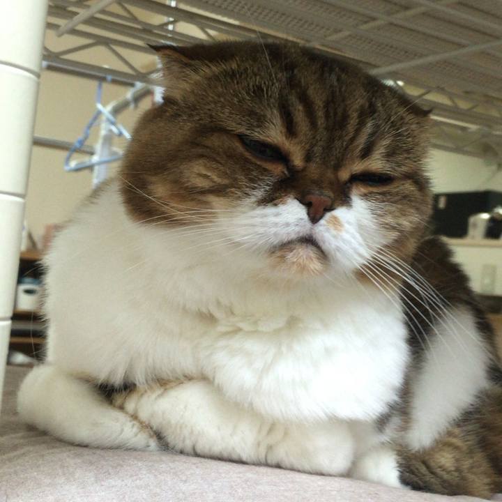 2aa92807 e358 4c02 844b a0e5b4cb3b41