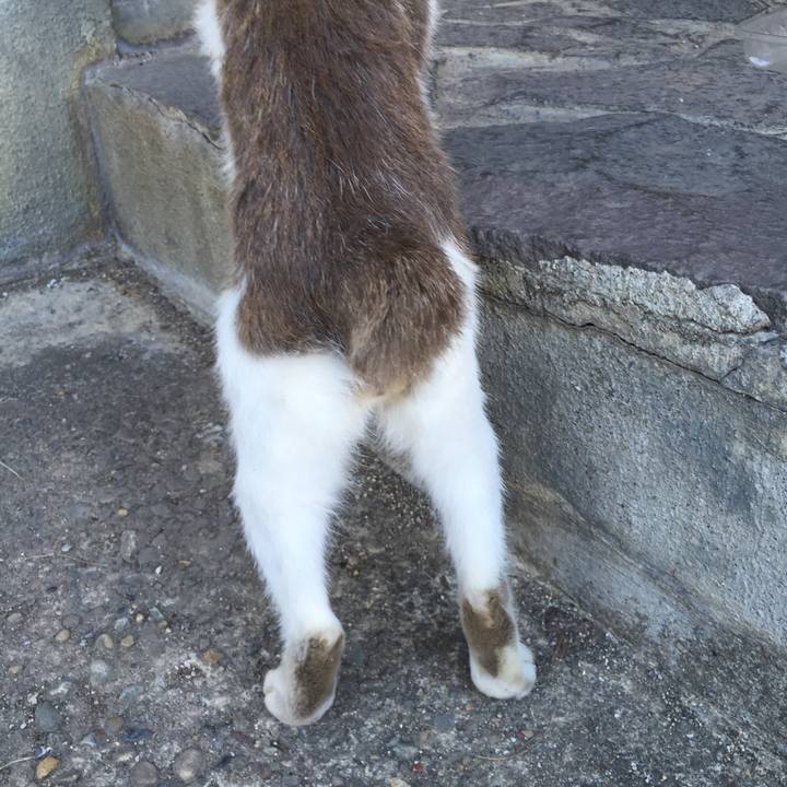 2aa96624 8a12 43f5 bb9e 5cfa717ac973