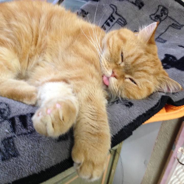 2aa9911e 880a 4cb5 abf8 d3bcec107f8d