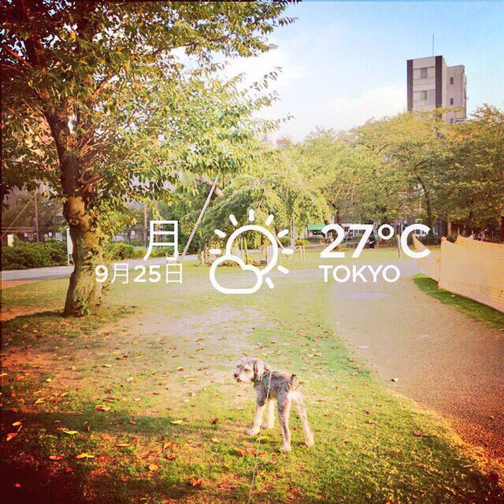 2aa9baca 65c9 44e7 800c 0976e5636a7e