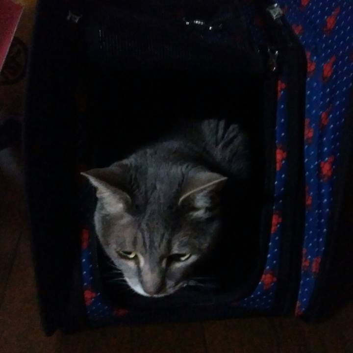 2aa9e788 491f 4a40 8baf 444d83fb7bb0