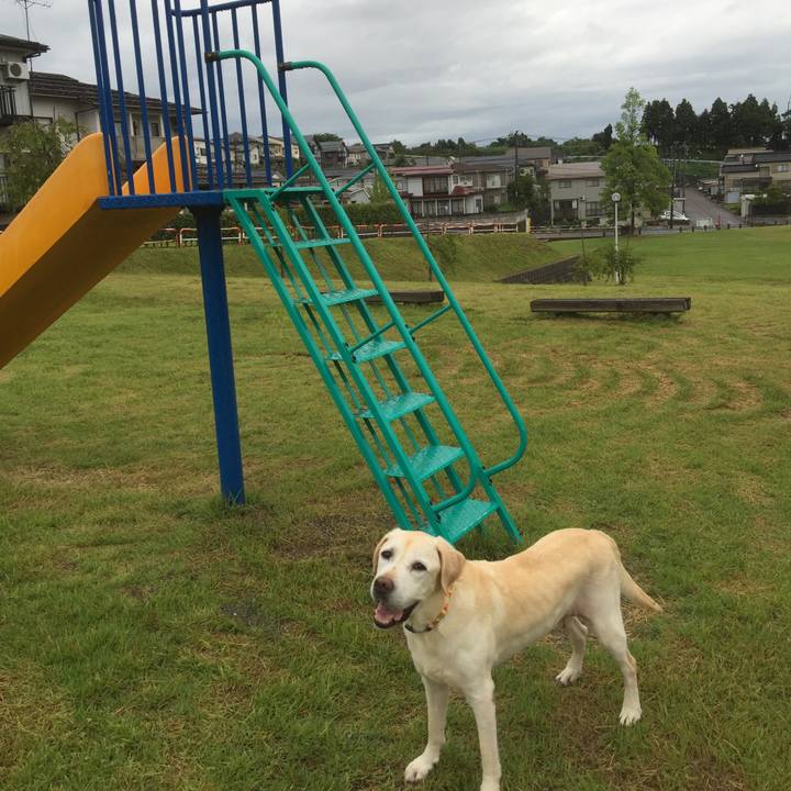 2aaa3948 bb94 477e a5d8 5bc95530c2ea