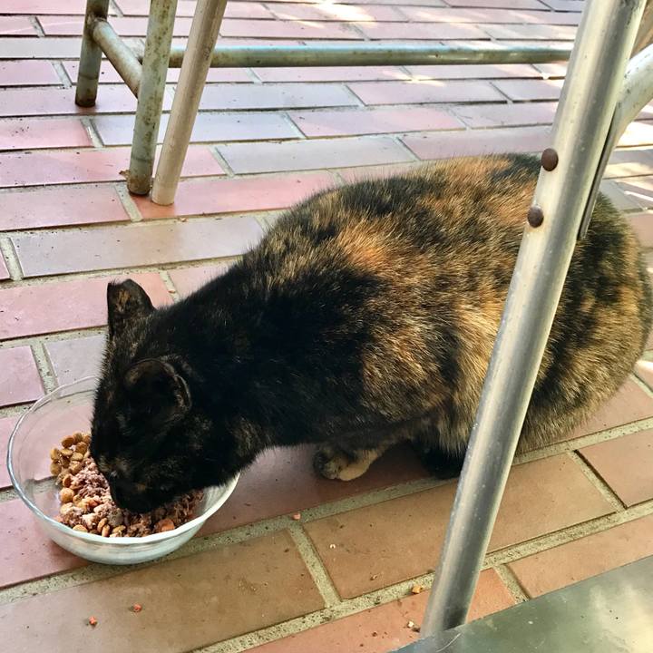 2aaa6f98 f621 4122 b0d8 a1de17e66824