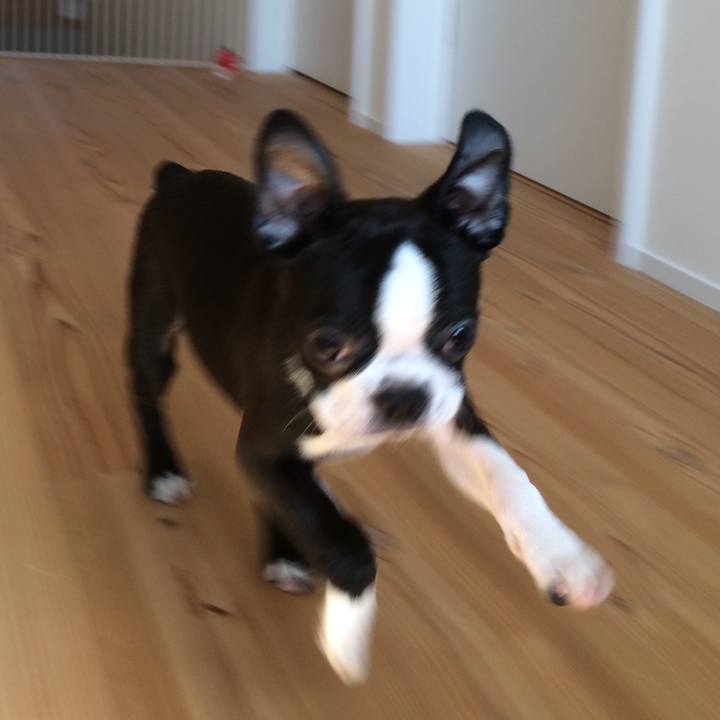 2aaaa401 02db 497b 9717 66a715cbc10d