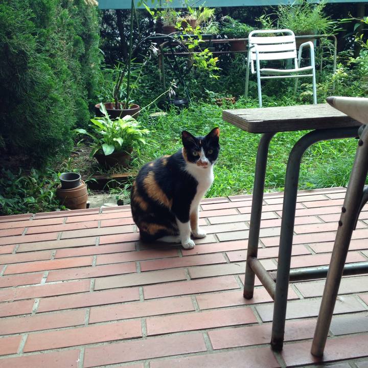 2aaaf363 72c9 4cf6 9ab2 89da710c39d5