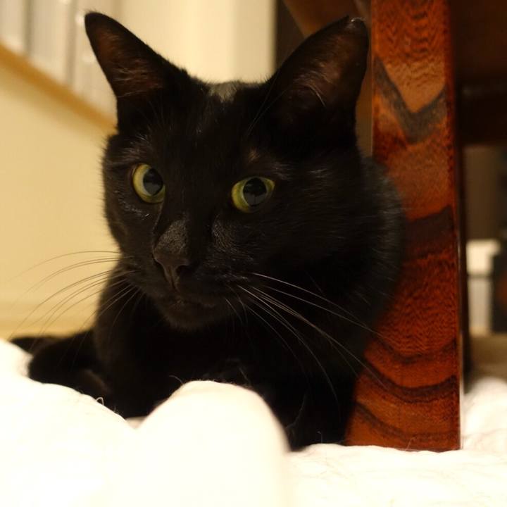 2aab97bf 1e9d 4836 8e11 bb7868147b74