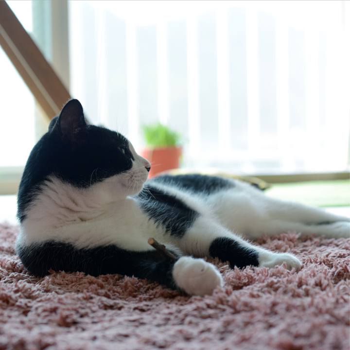 2aabd3bf 9328 452a 84b7 91024f84e2c3