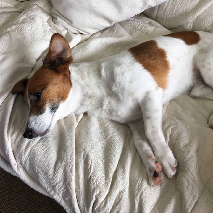 2aac1264 0f0e 49f8 8488 75c2bdded979