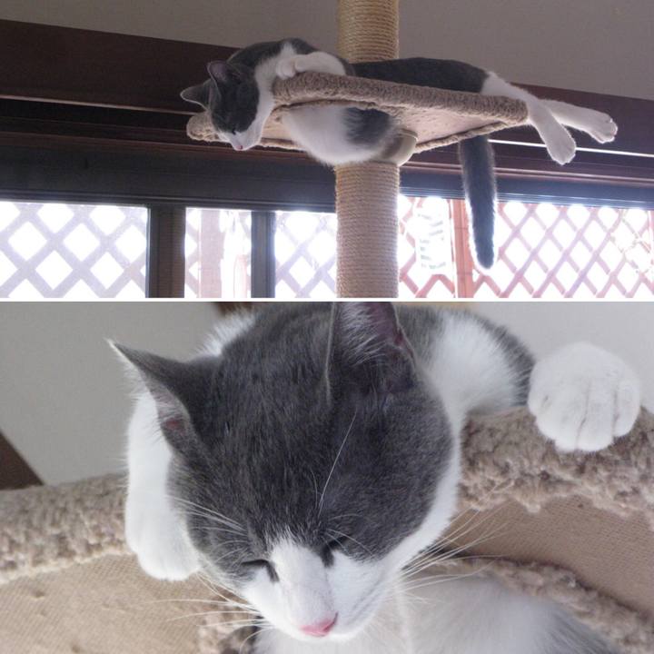 2aac516d 9bce 4c6f acb0 e7b40019704f