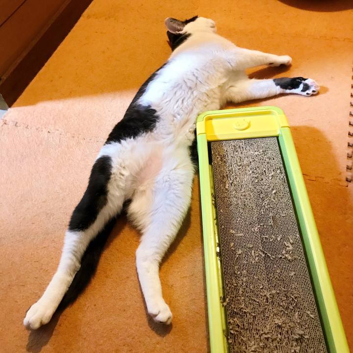 2aacb5f0 8375 44aa 97f5 b2954e7cce8f