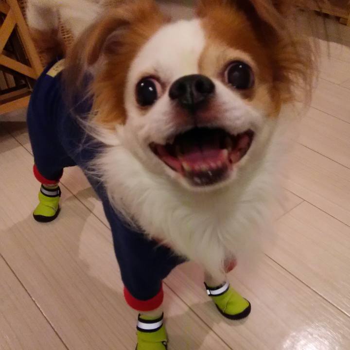 2aae67e7 6171 4bc1 8169 2ca748132207