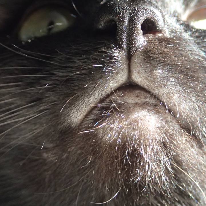 2aaecf12 4204 4f38 8dd6 c54d26fe02ab