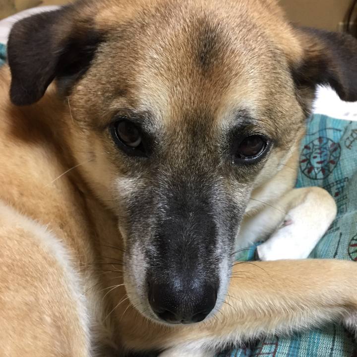 2aaed873 36ba 4fd9 9230 57e296d6881e