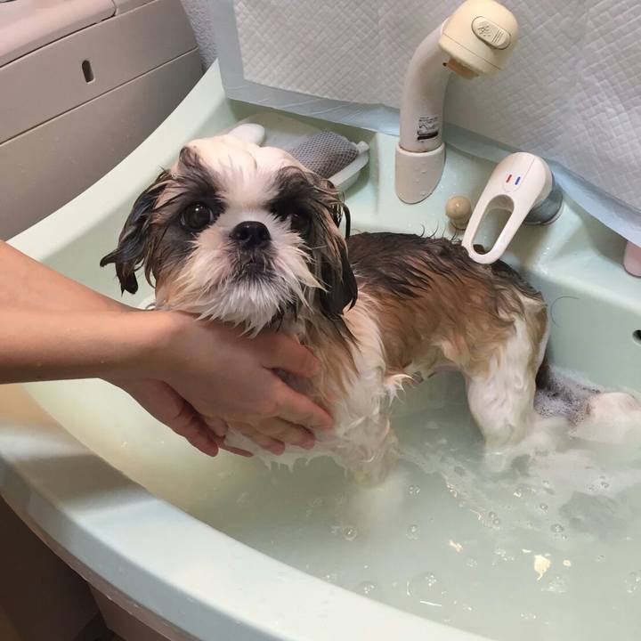 2aaf8e38 73ab 4c5b 877d 353f8ce205c5