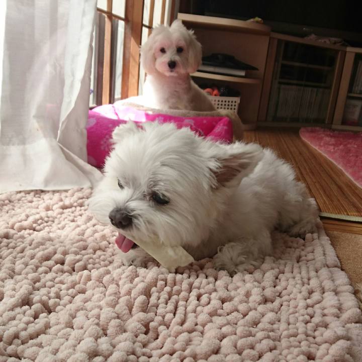 2aafcc8e 66bb 4533 8d80 222fee37b309