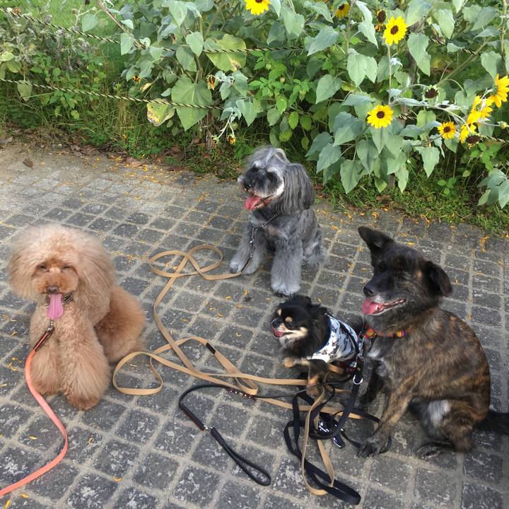 2ab01994 7d70 434d be5a 64564e4849e9