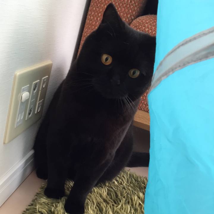 2ab01b0f 88d8 40d0 a820 cb3910d35cb9