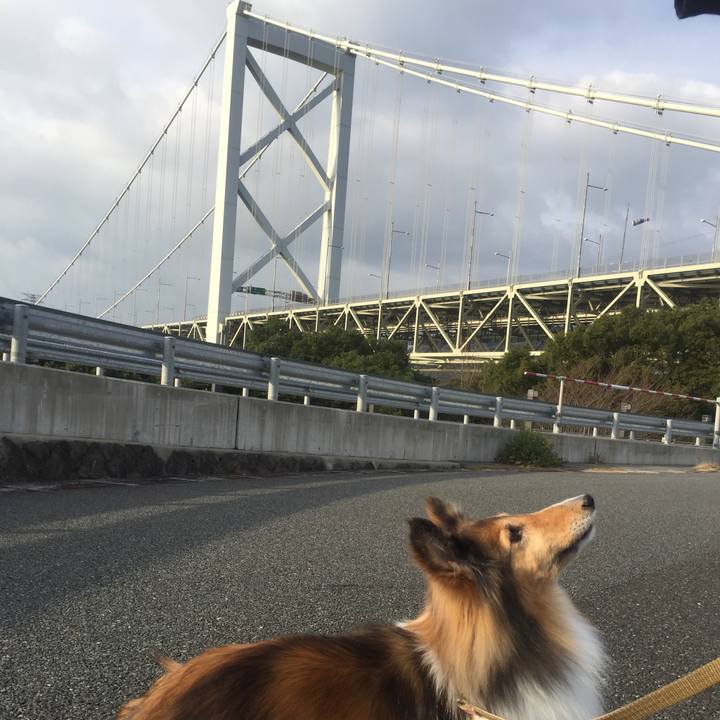 2ab02bba 9fec 4330 86e0 e48354db163a