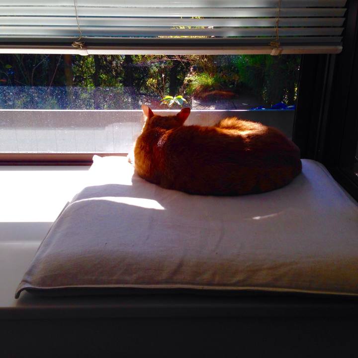 2ab0368f a9dc 4ceb b4a3 1a9ac47b33f3