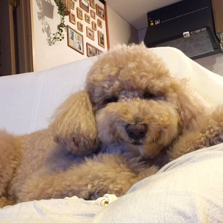 2ab0c049 23f5 4ccd b9ba ff567055dbc1