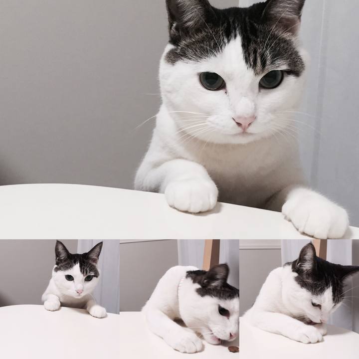 2ab0fea0 af86 4eba 8f14 5e824730dc35