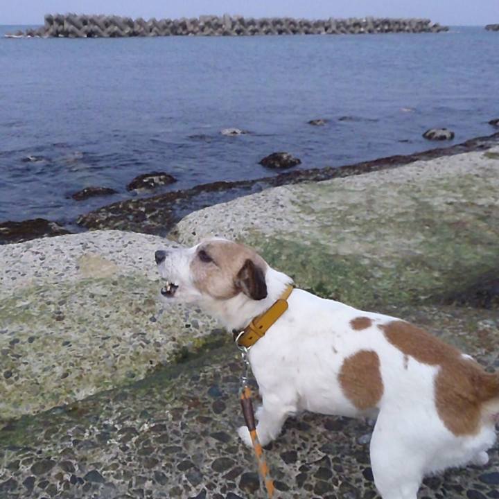 2ab15a1a 145c 489d 9af1 a441dfc5d0d6