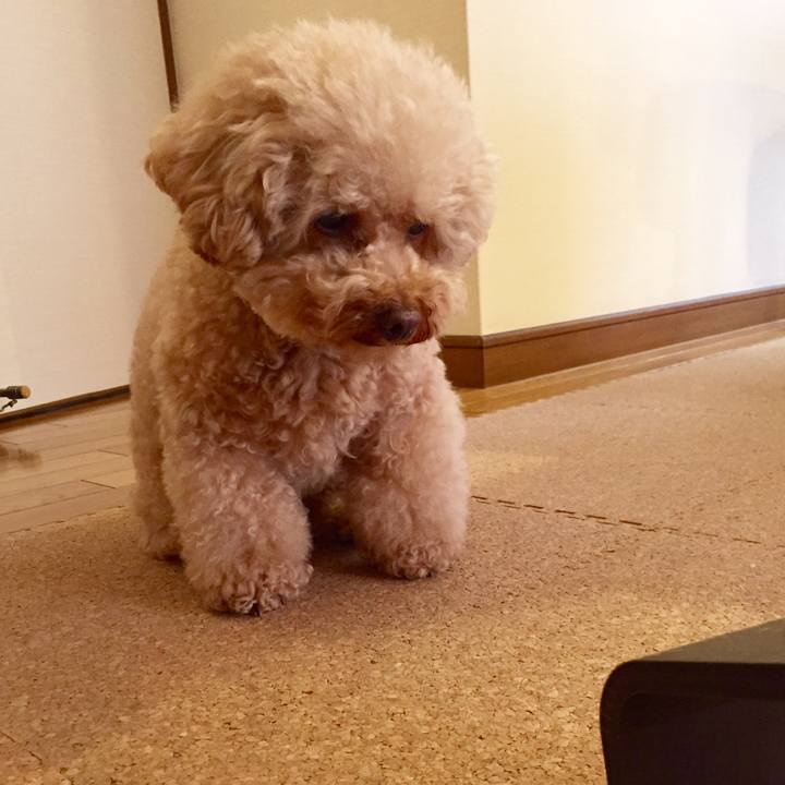 2ab199d0 0fb1 494e 9df8 fb11ca8dd2a5