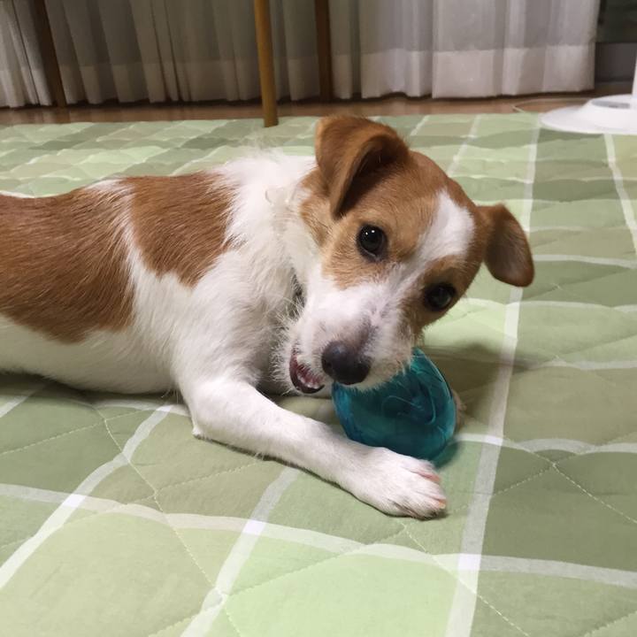 2ab23101 f929 4c87 96f9 5b0b54e03ae1