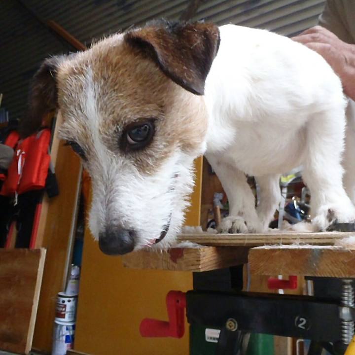 2ab27958 11e7 4f0f b1a8 7825c530c4c4