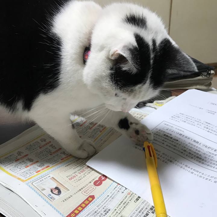 2ab2900c 33ea 4ed2 9717 574ae2782c59