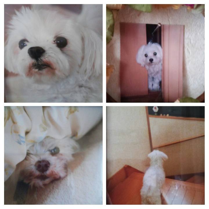 2ab339f3 964e 43b9 8e28 2a0c0f0616fa