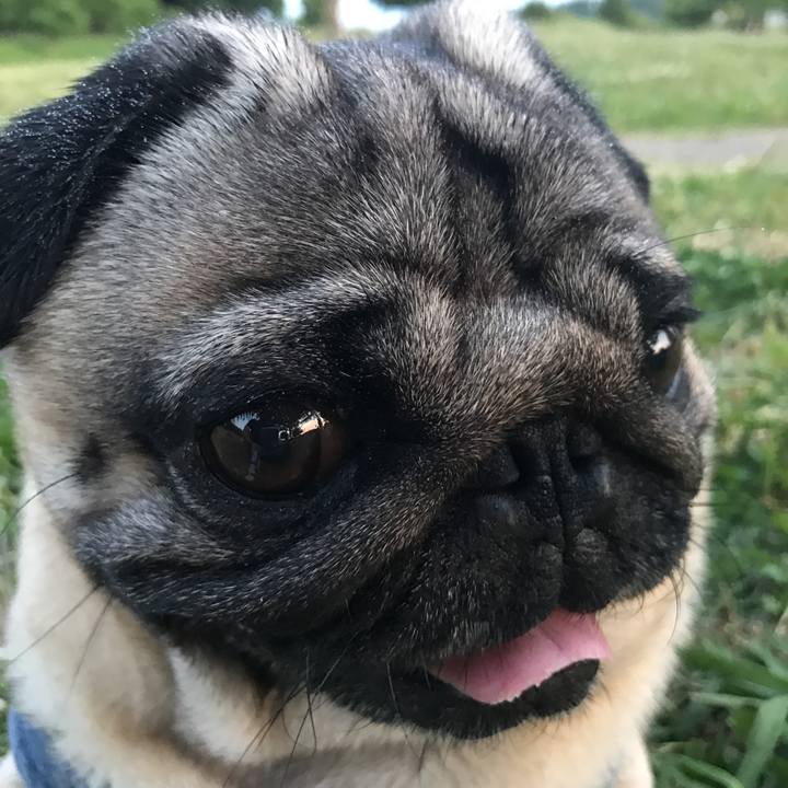 2ab3a3f1 3455 4f41 9614 913b4fcbd8e9