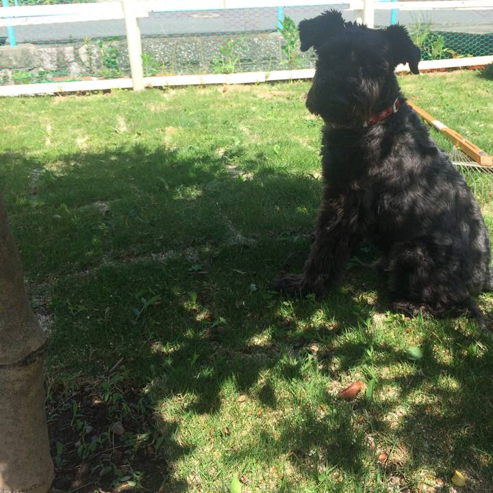 2ab40cc0 beaa 4d74 ad36 fb139b2781de