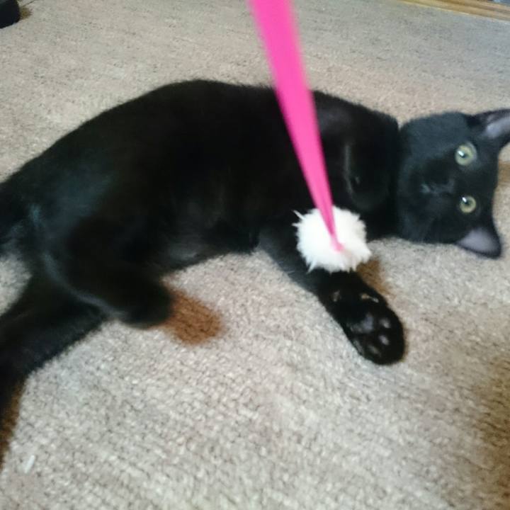 2ab4613d 4f2f 401a ac89 3fe20dfdcf61