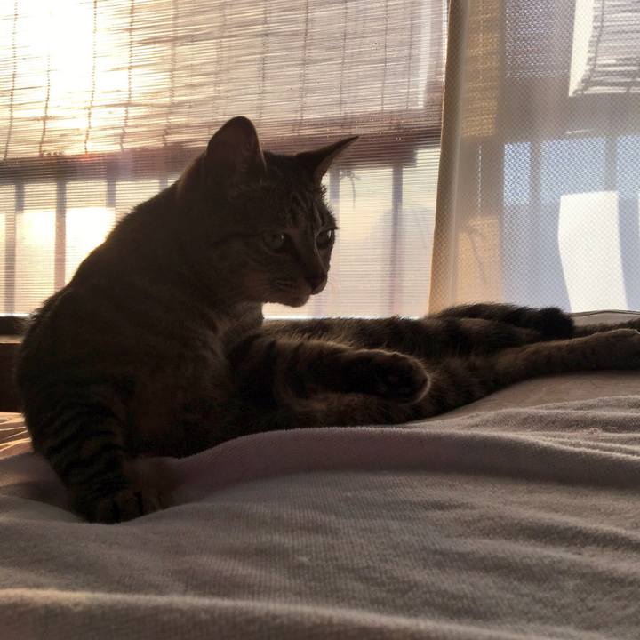 2ab4b5c9 4f86 4d0e a9a3 8962df15fc24