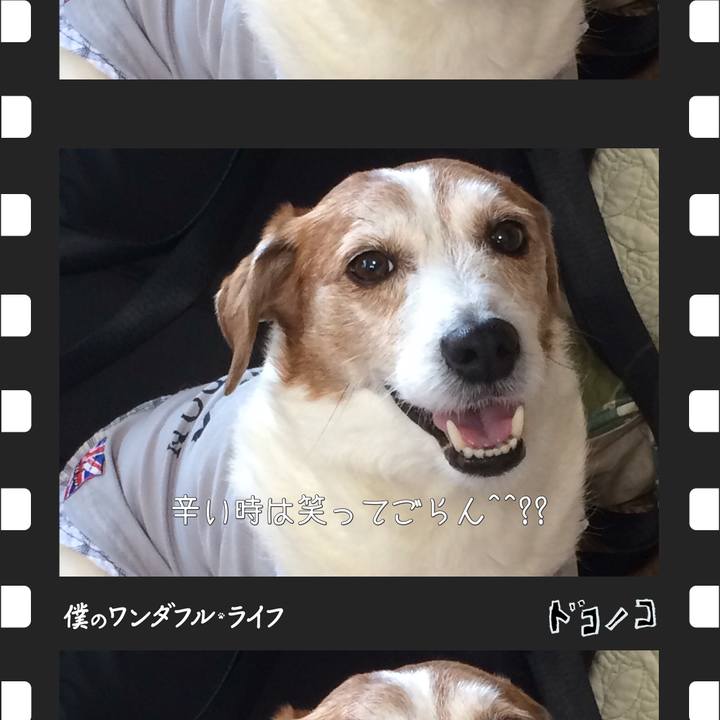 2ab50184 bb77 40e1 81bb 057257638b9a