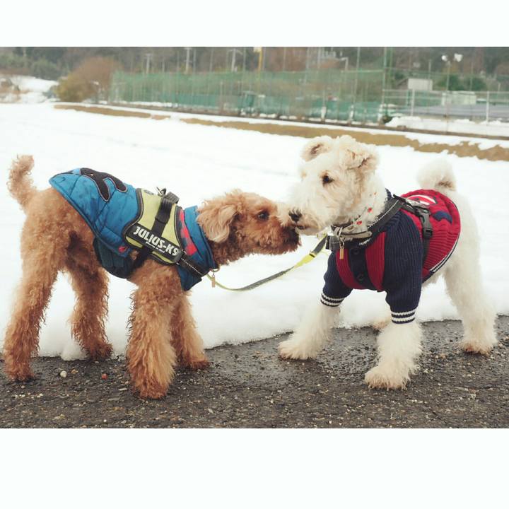 2ab50f27 49f0 46a0 a0f2 8a90372f5c2c