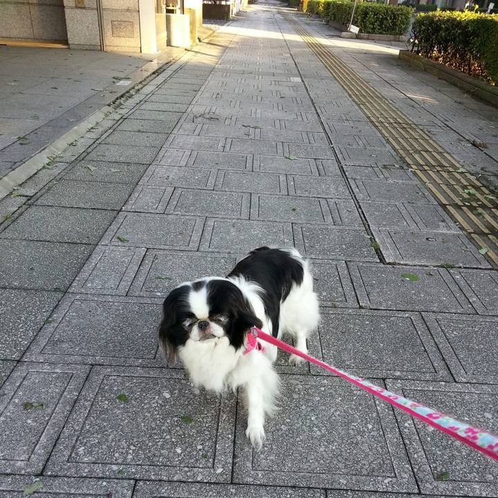 2ab52b4d 053f 41cd 86e4 a18b76aa6380