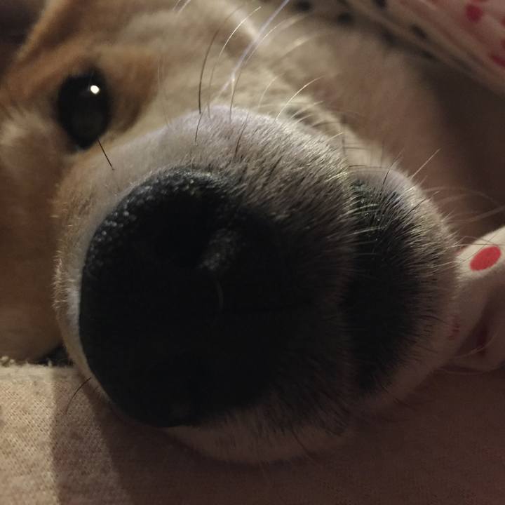 2ab56686 3237 45a7 85ec 9e4b4e379124