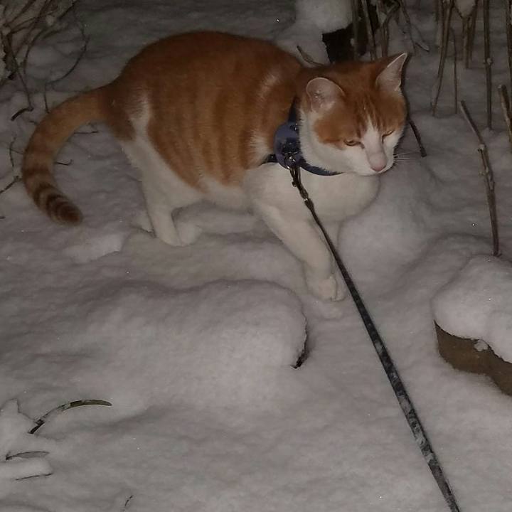 2ab5bb0c 1f79 4e72 9bf1 6c60d94a63f3