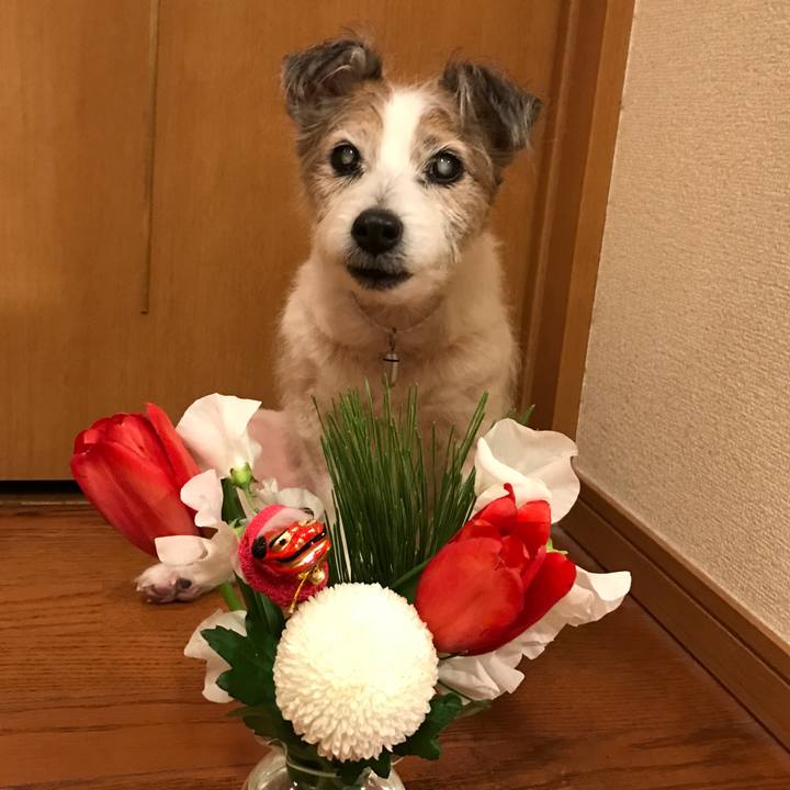 2ab64a3f 208f 468e 84d6 297d954e6ece