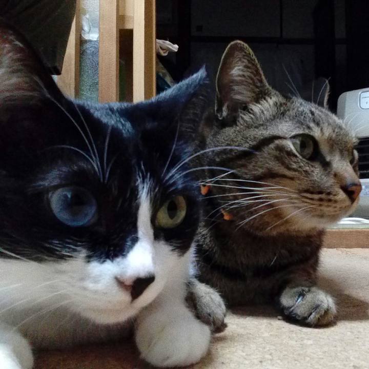 2ab684f4 b2db 486c 9660 36eeb5118356