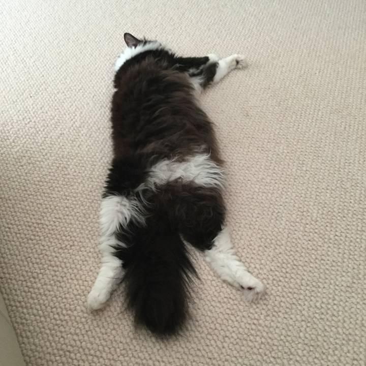 2ab79895 e9f8 4003 b77d 9d1fd0f511cc