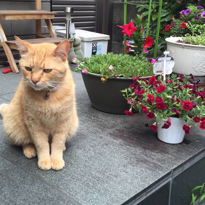 2ab7ce9b 87d0 4279 abd4 a55923bf73c7