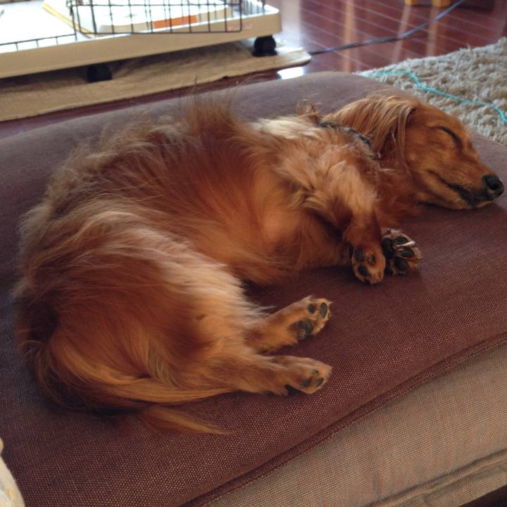 2ab8b77f 9eca 4acf a8c9 4ebe8095fe49