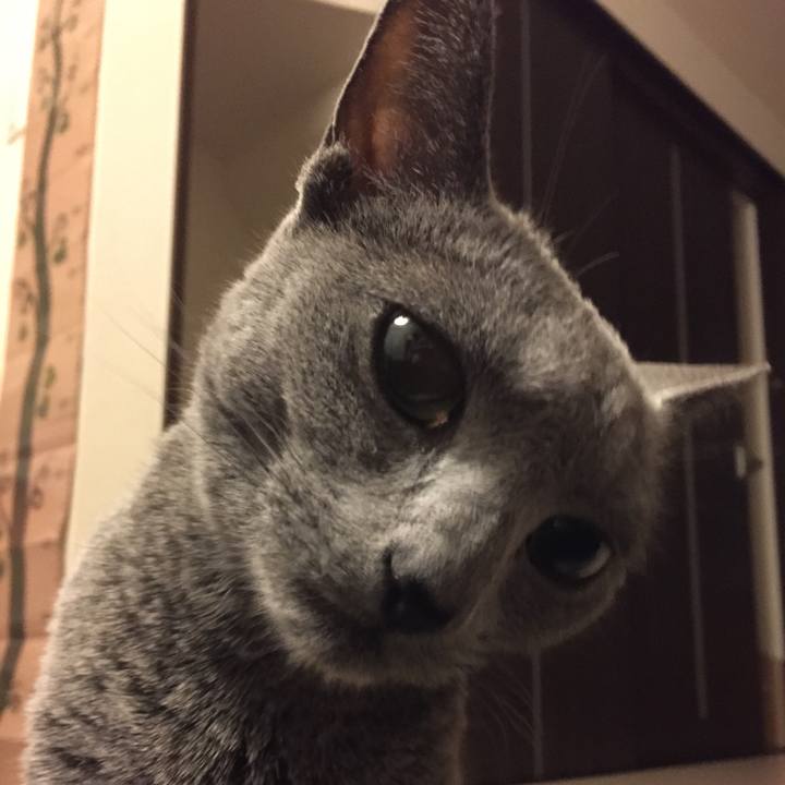 2ab8c393 6519 40cb a3a6 d535f8787c2f