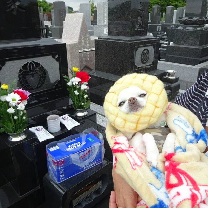 2ab8c6ee 451b 4279 8ed6 3cd31e61f839