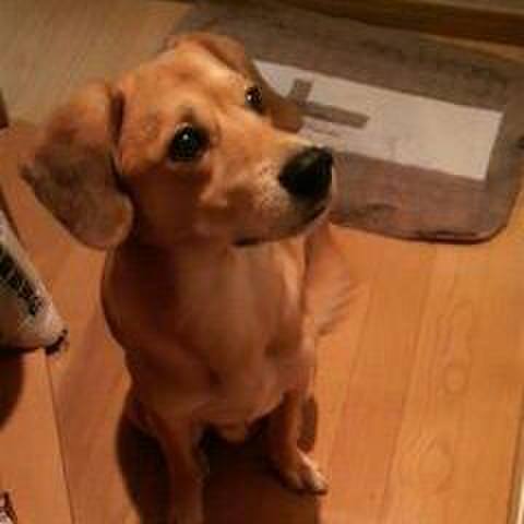 2ab8d534 b07d 47ca ab66 35735424cbbf